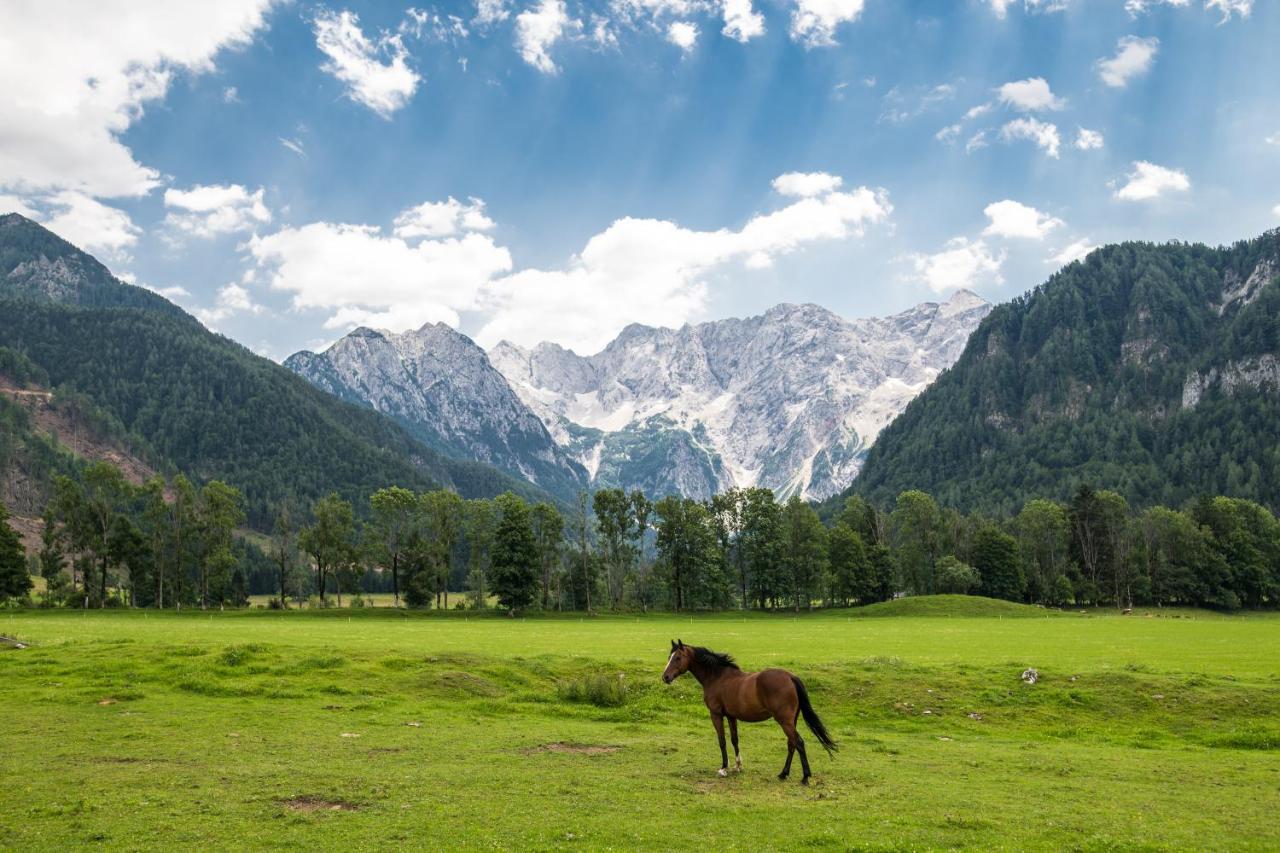 Boutique Hotel Vila Planinka Zgornje Jezersko Exteriér fotografie