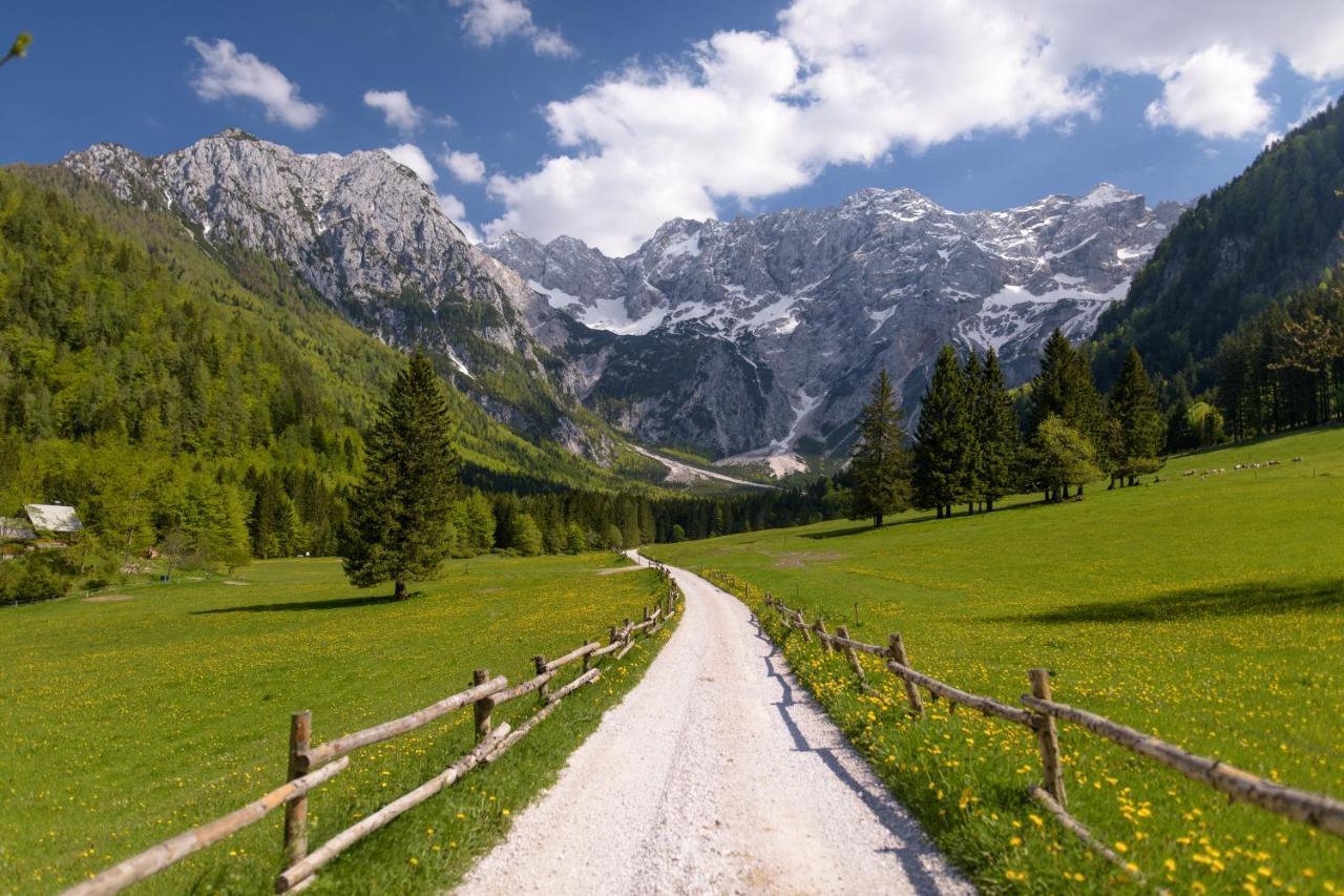 Boutique Hotel Vila Planinka Zgornje Jezersko Exteriér fotografie